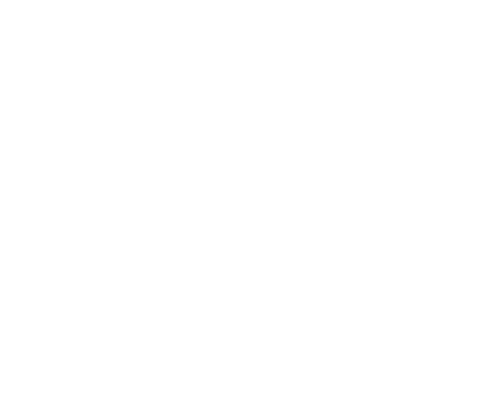 Blue Ridge Insurance