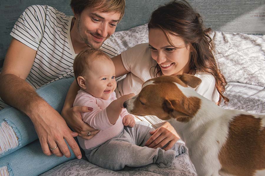 Personal Insurance - Happy Parents With Baby Sitting On The Bed Playing With Their Dog